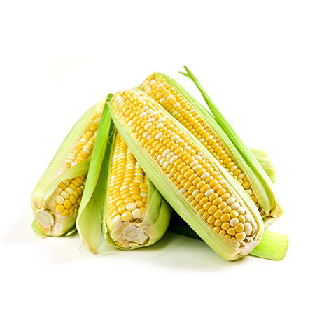 IQF Sweet Corn