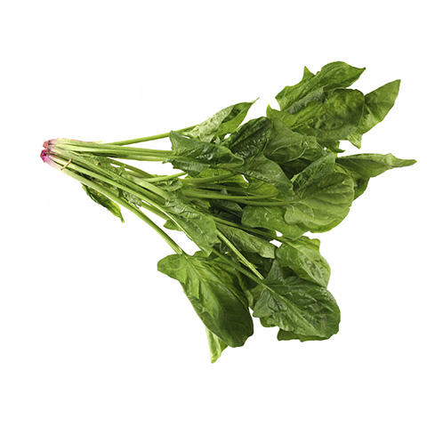 IQF Spinach