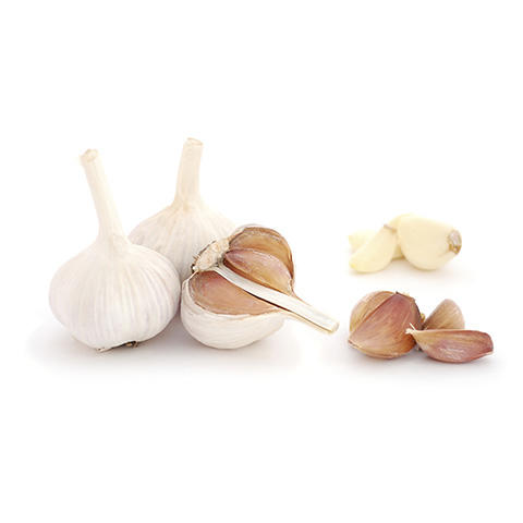 IQF Garlic Coves