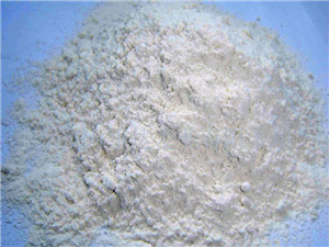 Onion Powder