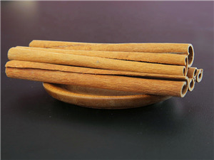 cinnamomum cassia